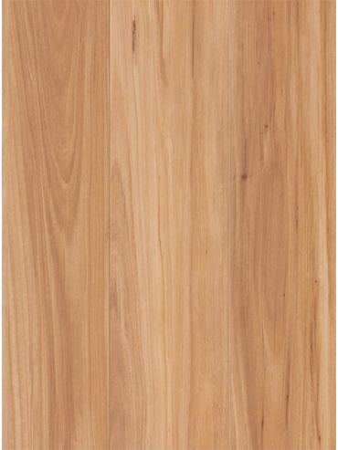 Coastal Blackbutt Matte