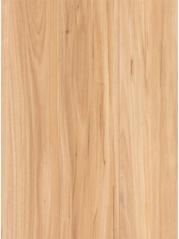 Extreme Coastal Blackbutt Matte