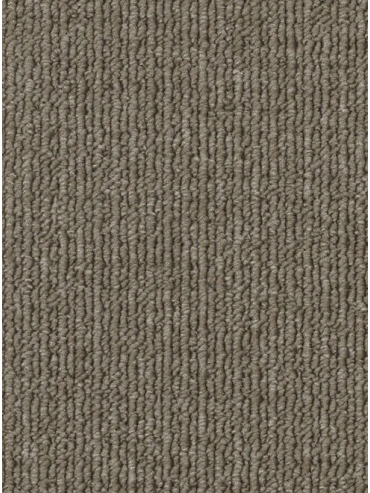 Savanna - Candlebark