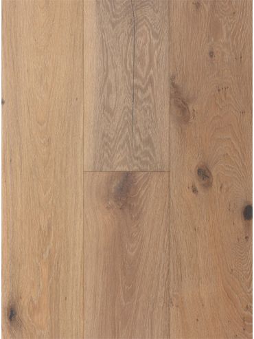 Encore+ - Oyster Bay