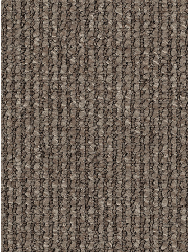 Acacia Hill - Millrose