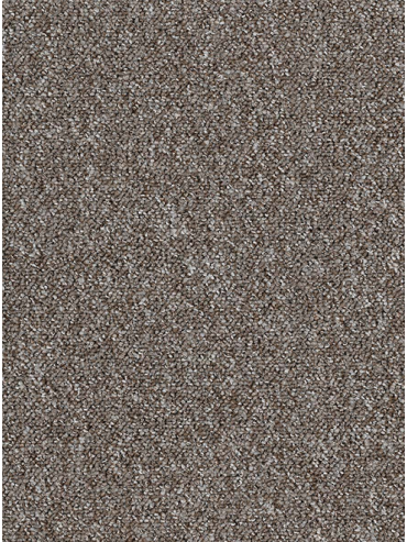 Encounter - Shorebird