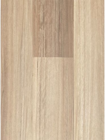 Corsica Oak - Spotted Gum NSW