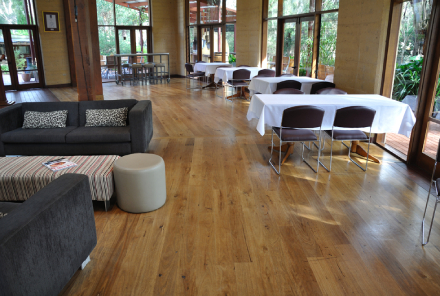 All You Need To Know About Timber Floors